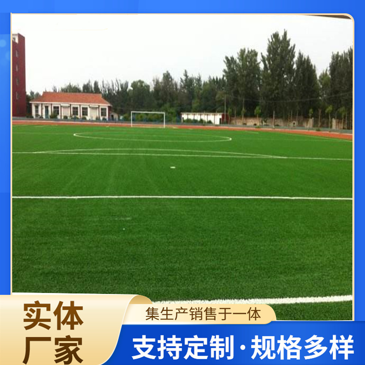 伊春市塑胶篮球场人造草坪 - 方案